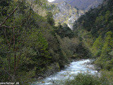 Bhutan-72