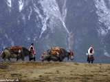 Bhutan-806