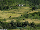 Bhutan-930