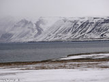 Spitsbergen-082