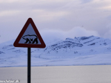 Spitsbergen-193