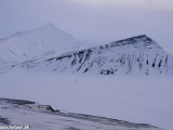 Spitsbergen-197