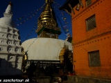 Opičí chrám Swayabunath...