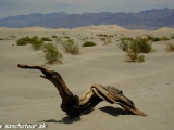 Údolie smrti - Death Valley...