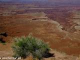 NP Canyonlands - Utah...