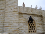 Uzbekistan-341
