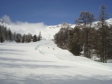 vars_06